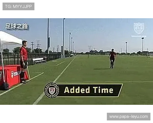 裁判手势在比赛中的含义与关键判罚信号