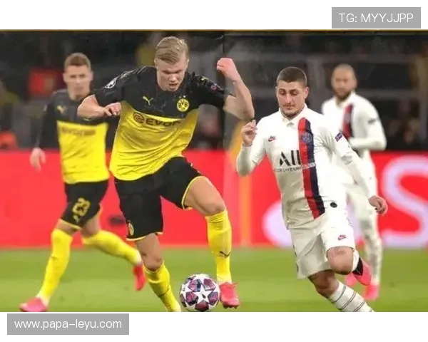 梅西与哈兰德在射门效率下转移职责分布趋势