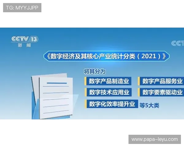 持球掩护究竟怎么才算合法？全面解析规则细节