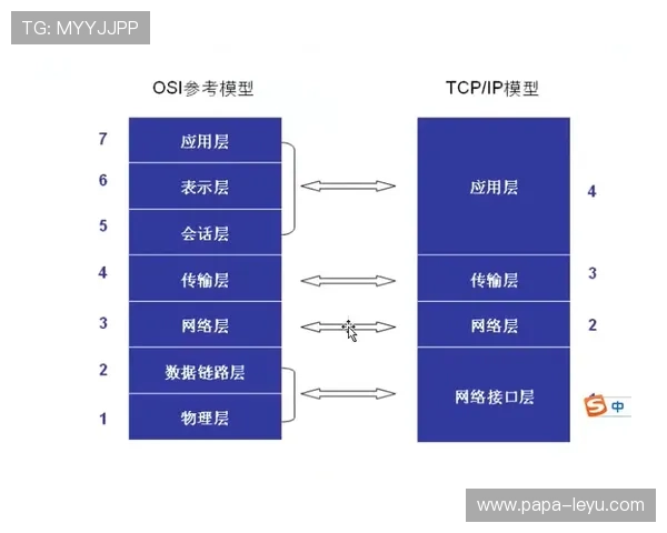 新手需掌握的后场规则解析：防止错误站位违规