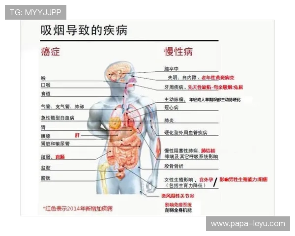 解析防守犯规的规则定义与具体判定标准